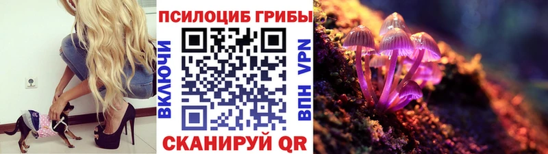 hydra рабочий сайт  дарнет шоп  Бикин  Галлюциногенные грибы мицелий 