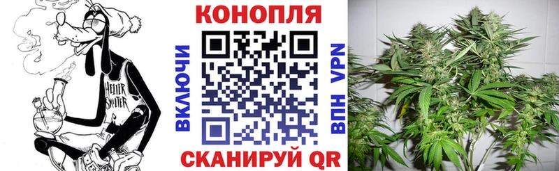 где найти наркотики  Бикин  darknet какой сайт  Конопля White Widow 